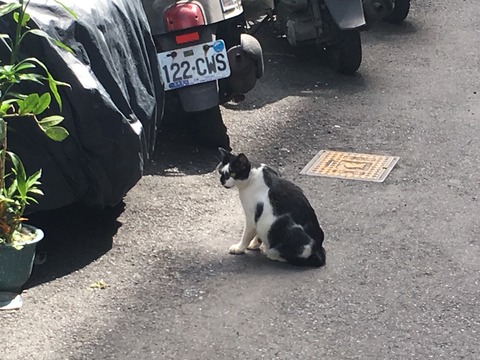 台北のミャンマー街