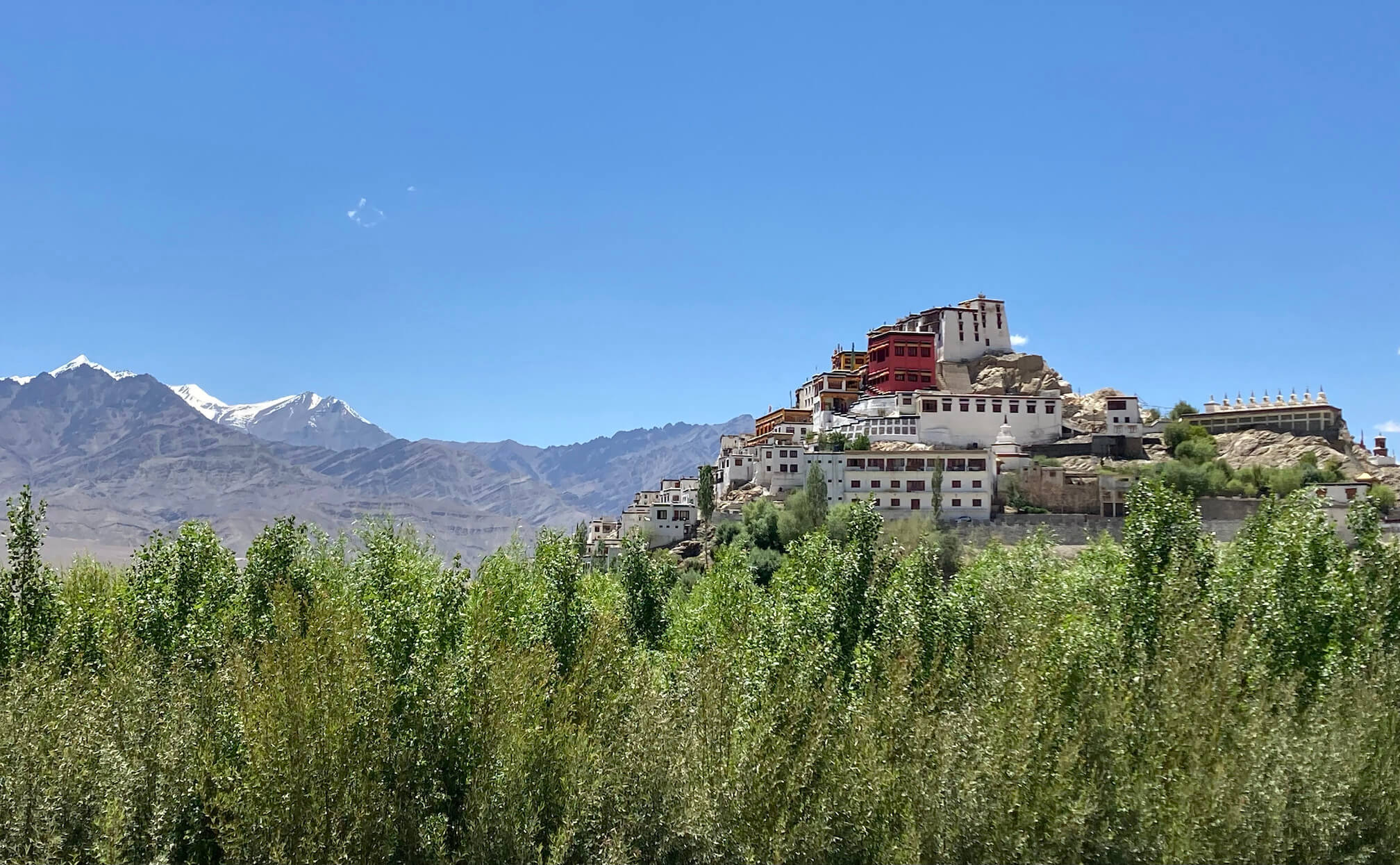 ティクセゴンパ（Thiksey Monastery）
